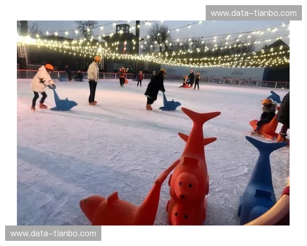 赛程滑冰：滑出精彩，冰上挑战与荣耀的完美融合